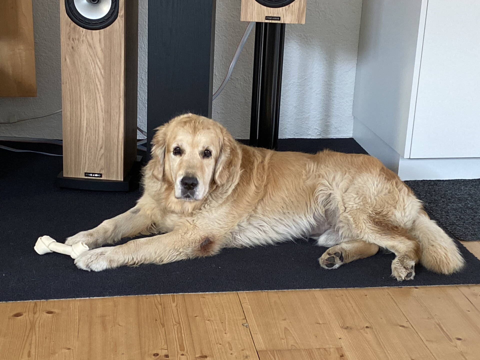 68259682309__d46afc49-31db-425f-beea-cc5cbe02fce6.jpeg 68259682309__d46afc49-31db-425f-beea-cc5cbe02fce6.jpeg